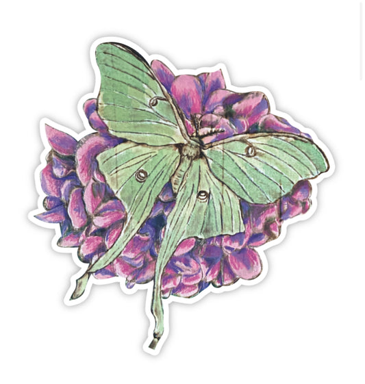 “KATINA” Luna Moth Sticker
