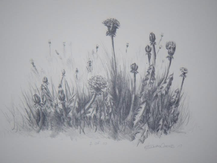 “Childhood 1” Black/White Dandelions Lithograph 2010