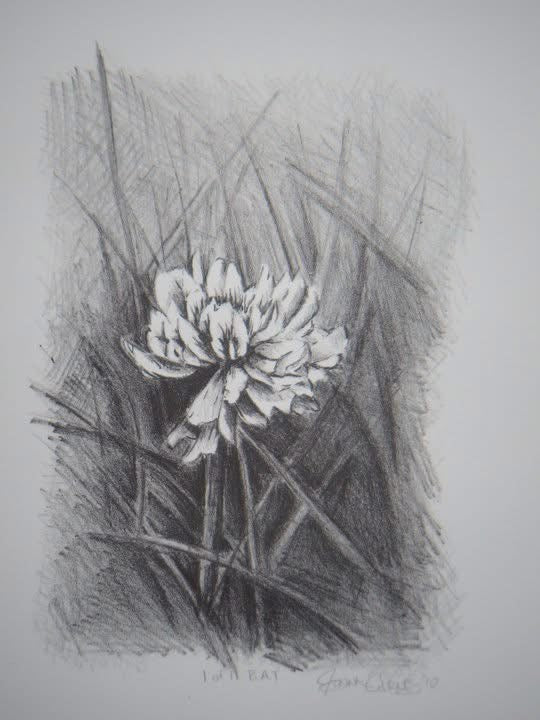“Childhood 3” Black/White Clover Flower Lithograph 2010