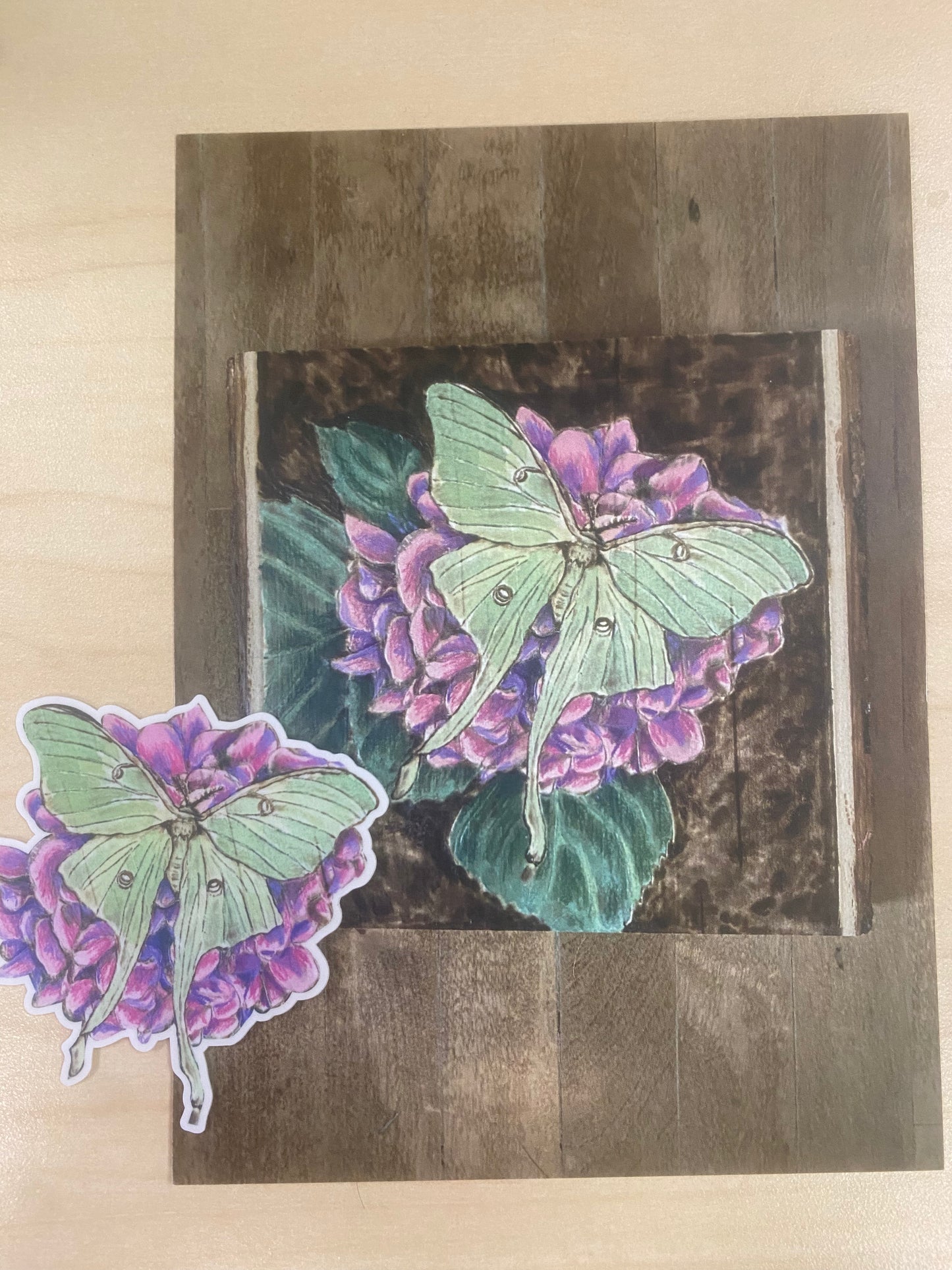 “KATINA” Luna Moth 5x7 art print - benefits “The Play Lady”