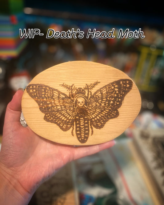 WIP-Deaths Head Moth