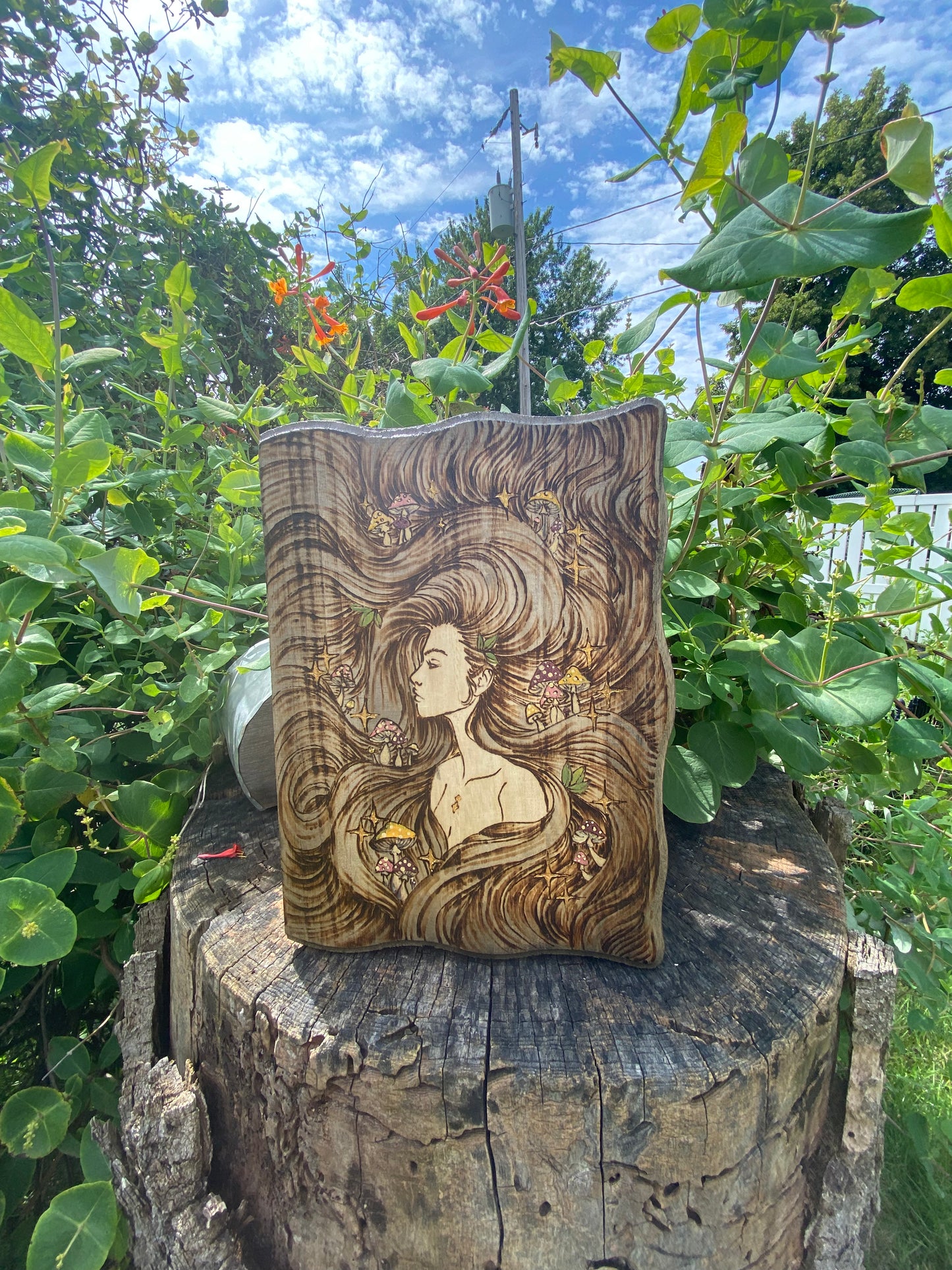 Mushroom Woman Book box