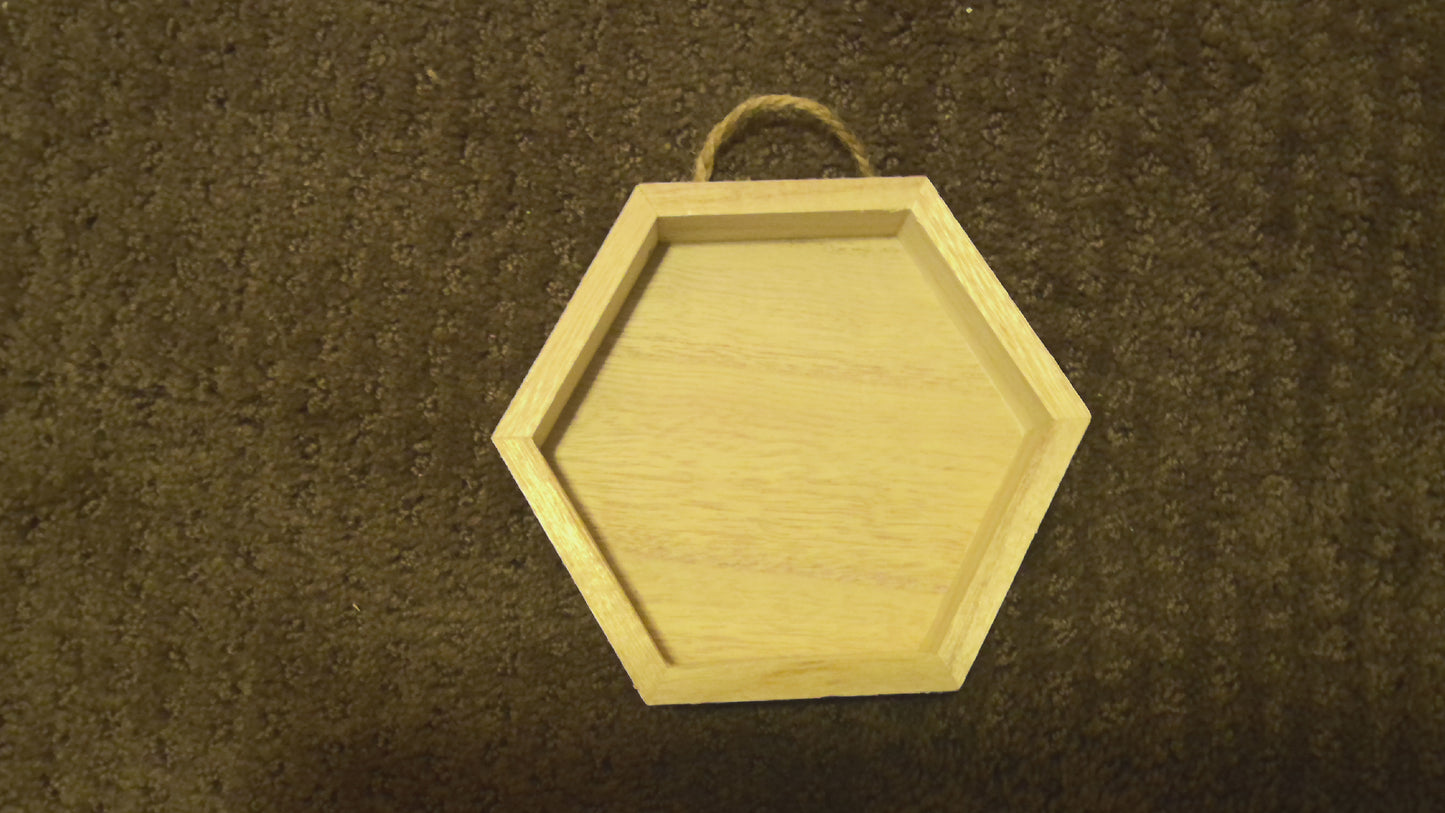 WIP - Daisy Hexagon hanger