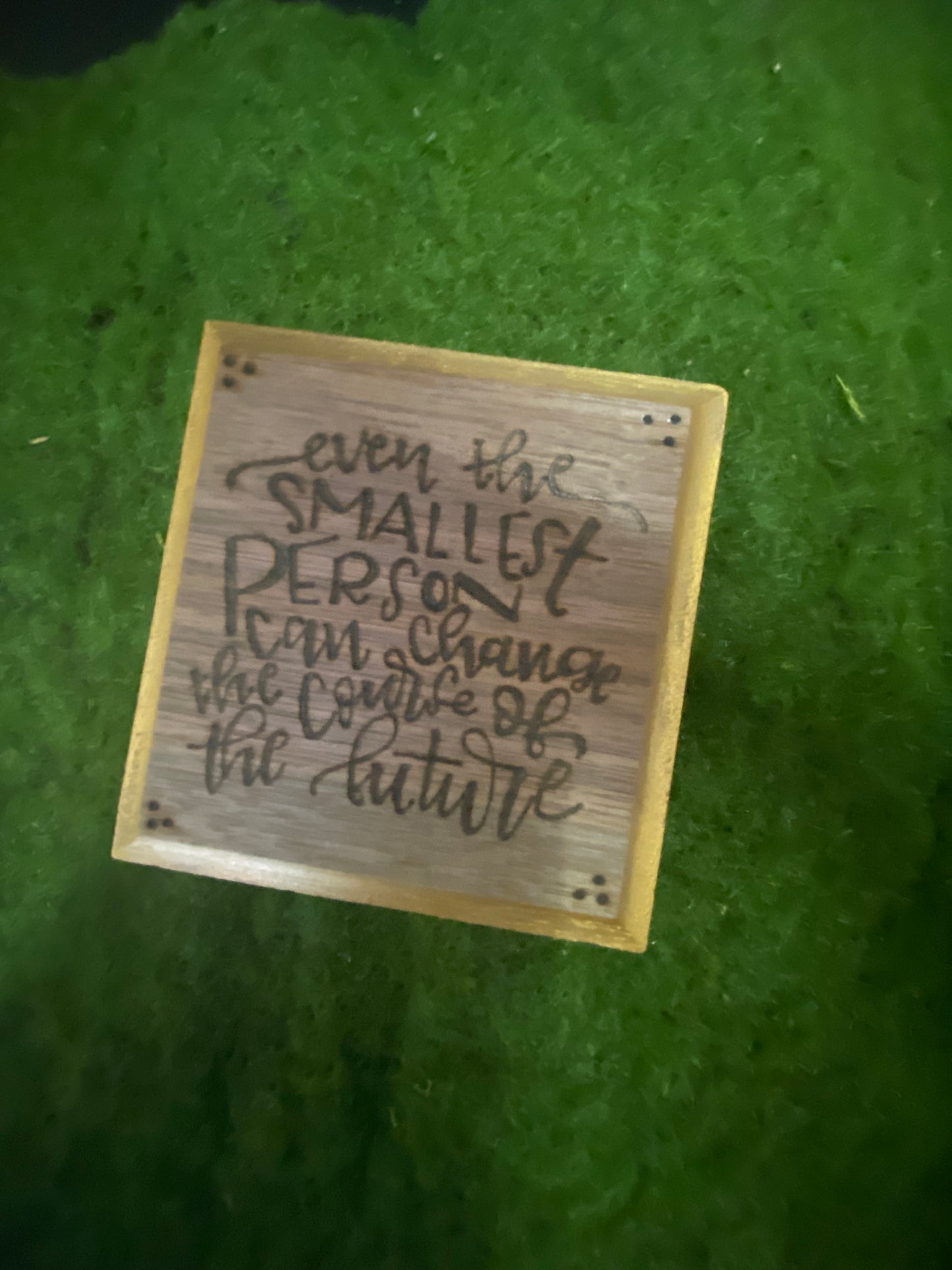 Smallest Person (LOTR quote)