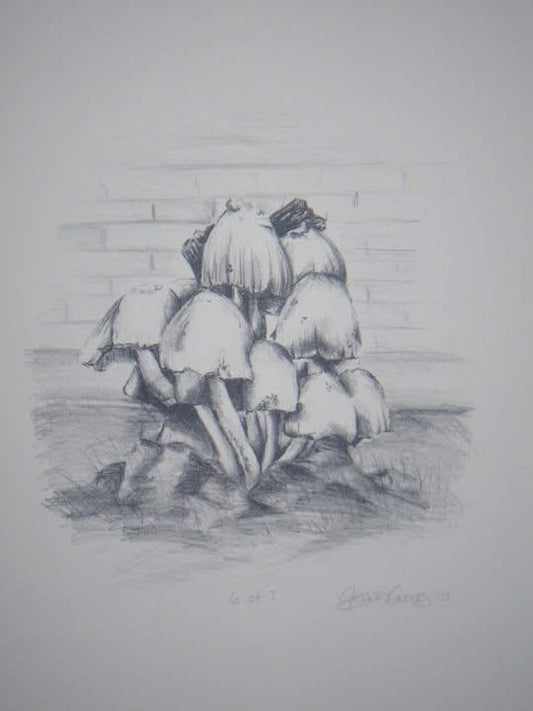 “Childhood 2” Black/White Mushroom Cluster Lithograph 2010