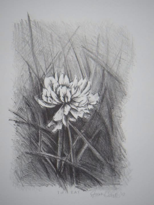 “Childhood 3” Black/White Clover Flower Lithograph 2010