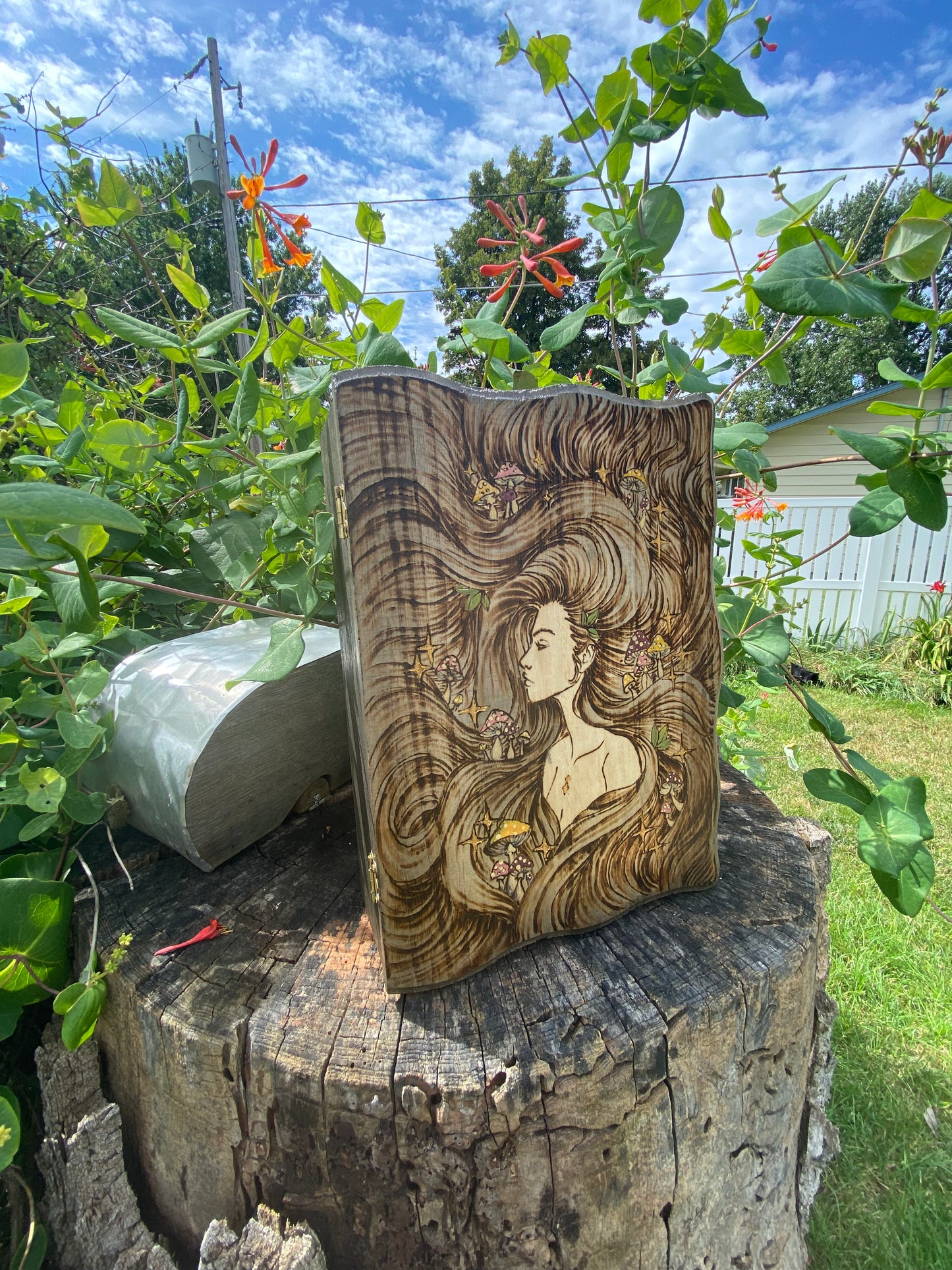 Mushroom Woman Book box