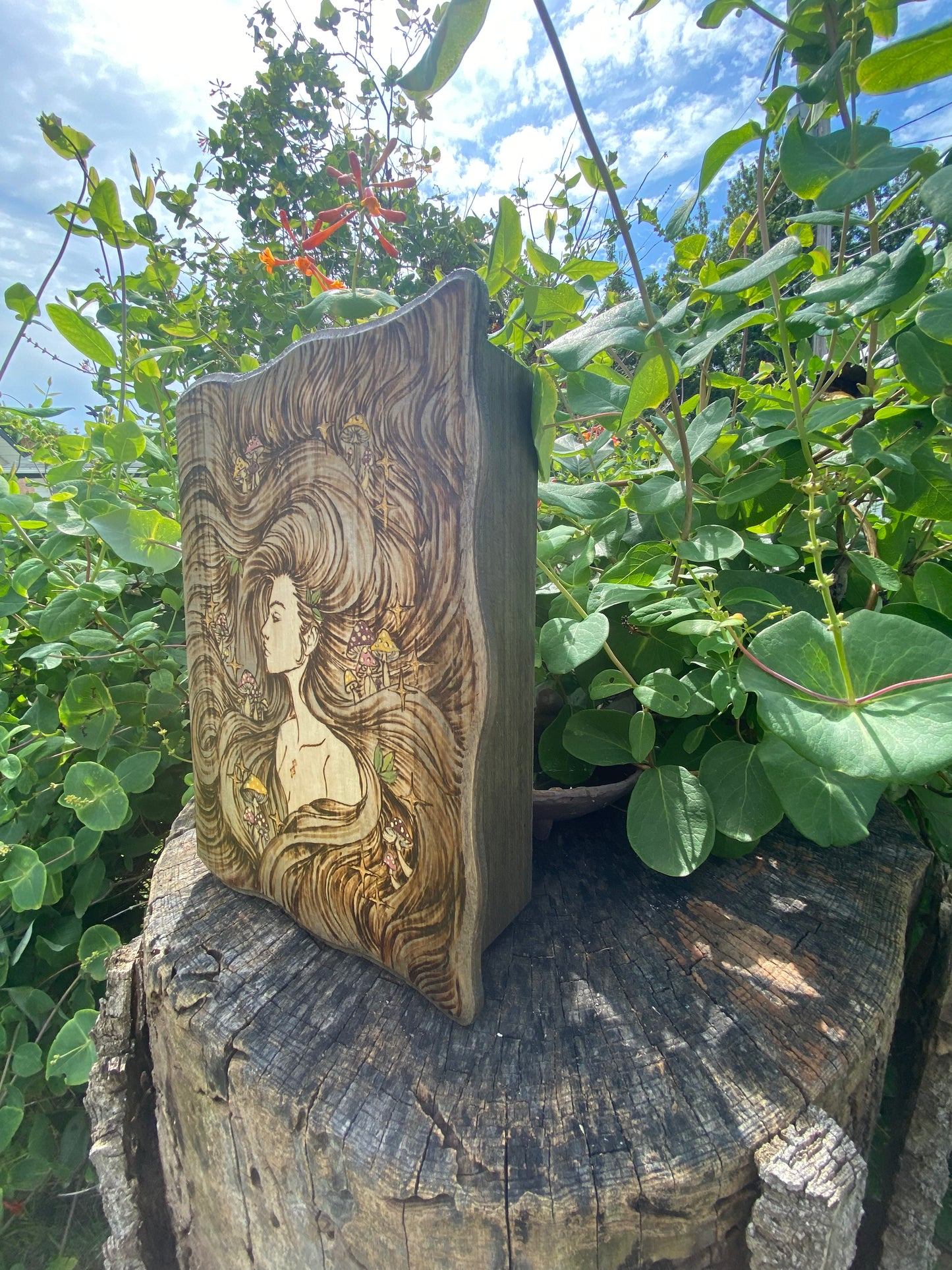 Mushroom Woman Book box