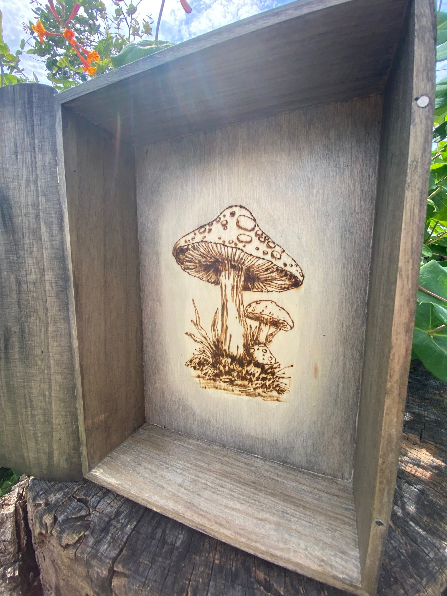 Mushroom Woman Book box