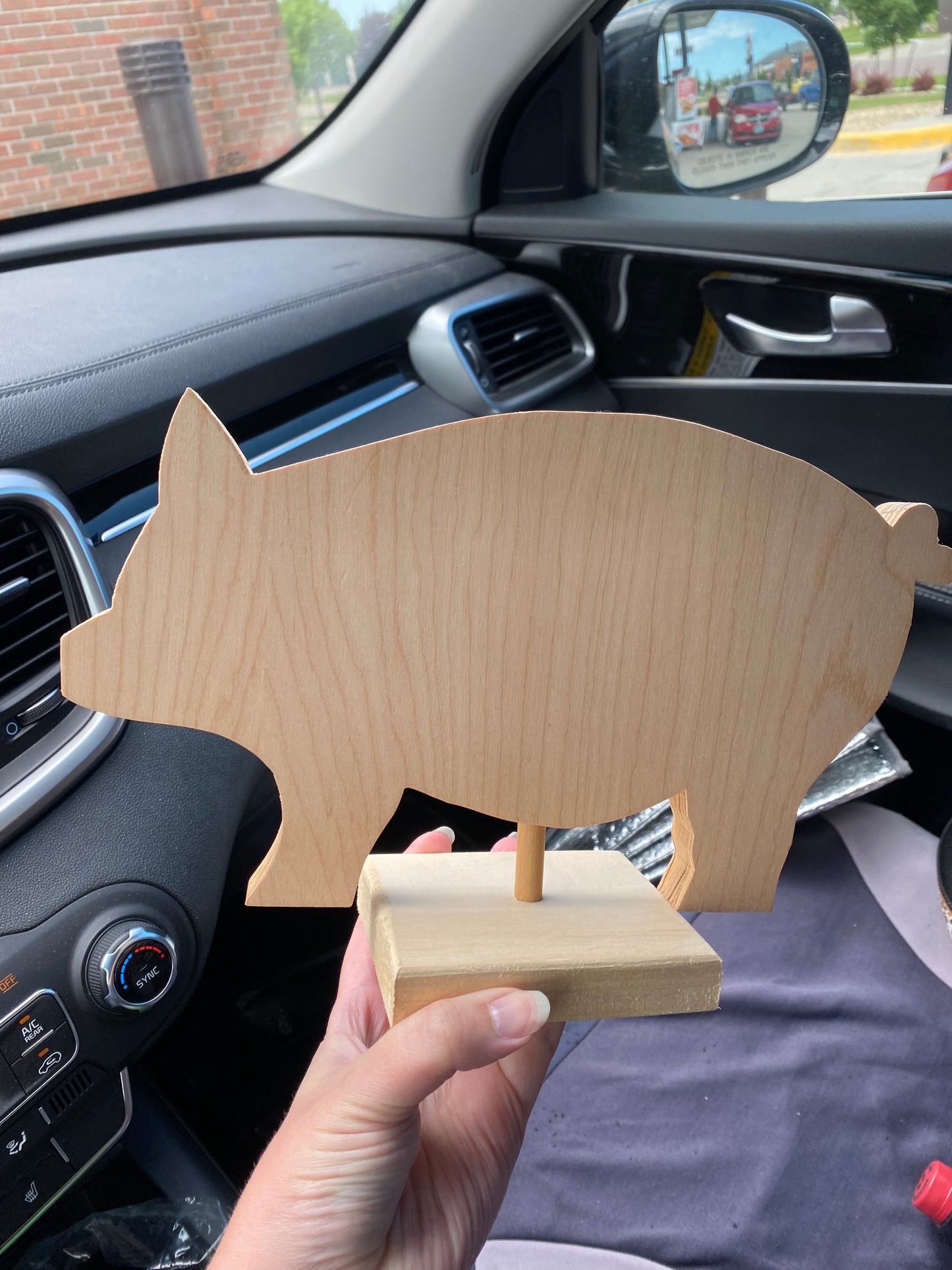 This little piggy
