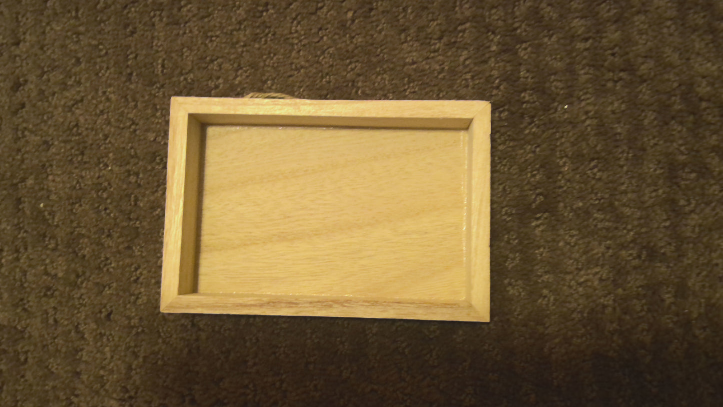 WIP-Death Head Moth hanger